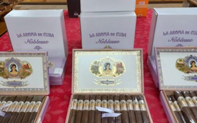 Now in Stock LA Aroma de Cuba Noblesse